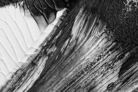black white abstract acrylic painting color texture on white paper background by using rorschach inkblot methodの写真素材