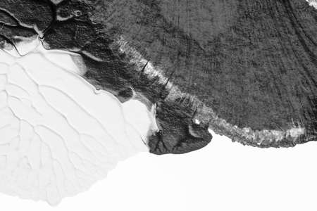 black white abstract acrylic painting color texture on white paper background by using rorschach...