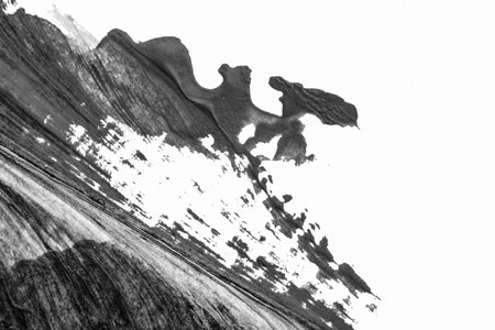 black white abstract acrylic painting color texture on white paper background by using rorschach inkblot methodの写真素材