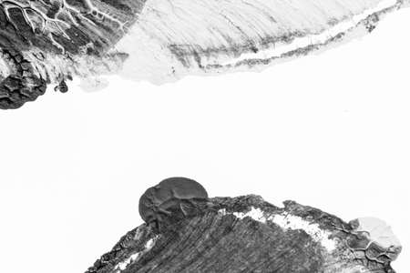 black white abstract acrylic painting color texture on white paper background by using rorschach inkblot methodの写真素材