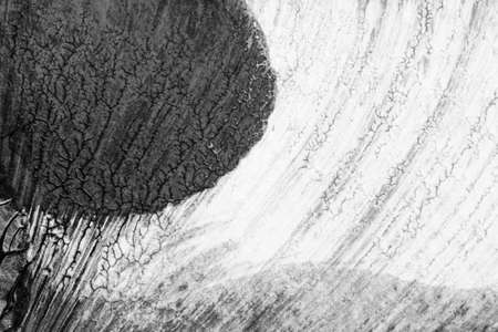 black white abstract acrylic painting color texture on white paper background by using rorschach inkblot methodの写真素材