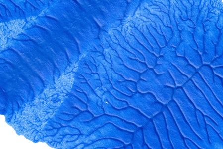 blue purple red yellow abstract acrylic painting color texture on white background by using inkblot methodの写真素材