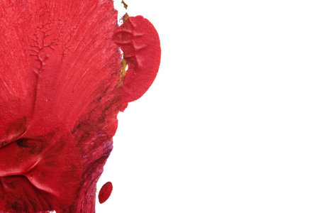 blue purple red yellow abstract acrylic painting color texture on white background by using inkblot methodの写真素材