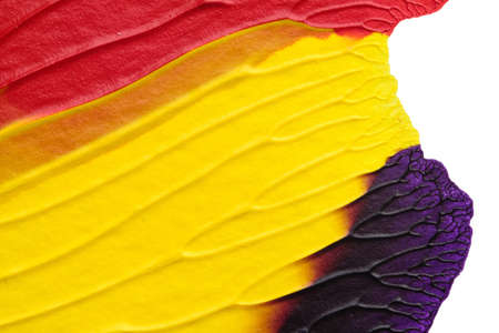 blue purple red yellow abstract acrylic painting color texture on white background by using inkblot methodの写真素材