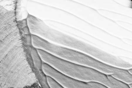 black white abstract acrylic painting color texture on white paper background by using rorschach inkblot methodの写真素材