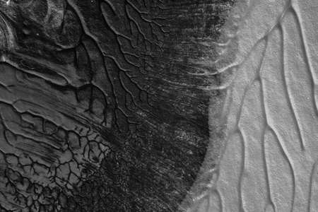 black white abstract acrylic painting color texture on white paper background by using rorschach...