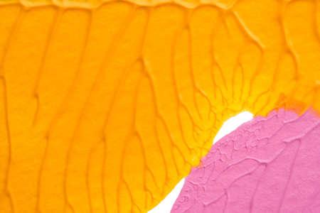 I painted acrylic colors on white paper and I folded the paper together similar to the rorschach...