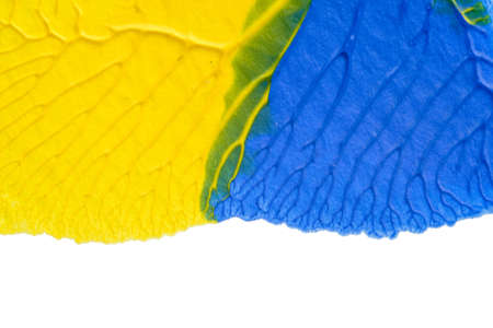 I painted acrylic colors on white paper and I folded the paper together similar to the rorschach...