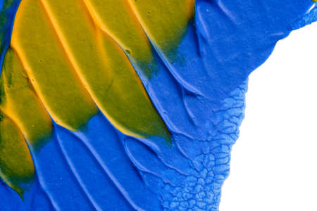 I painted acrylic colors on white paper and I folded the paper together similar to the rorschach...