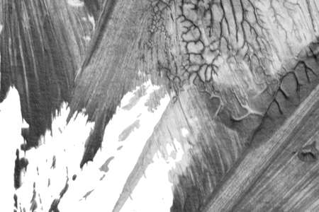 black white abstract acrylic painting color texture on white paper background by using rorschach inkblot methodの写真素材