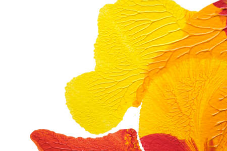 red yellow abstract acrylic painting color texture on white paper background by using rorschach...
