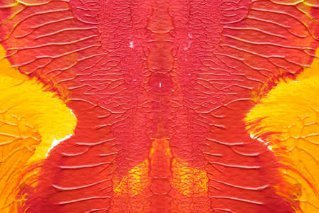red yellow abstract acrylic painting color texture on white paper background by using rorschach inkblot methodの写真素材