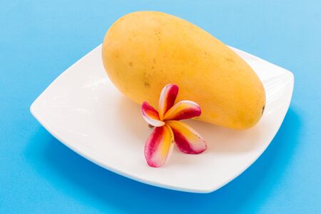 Mango Tropical Fruit Background