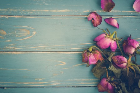 Wilted Flower Vintage Backgroundの写真素材