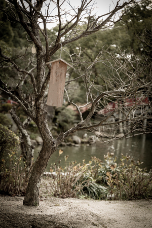 Sign Hanging on Treeの写真素材