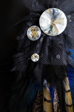 Crystal Broach with Featherの写真素材
