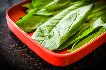 Choy Prepared for Cookingの写真素材