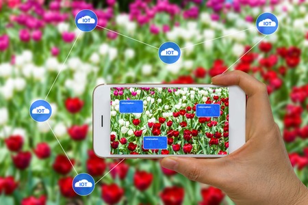 Smart Farming Agriculture Concept Using Cloud, Big Data, Augmented Reality, AR, and Smart Device