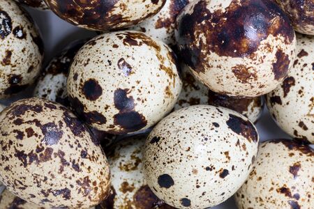 Group of Fresh Quail Eggs as Backgroundの写真素材