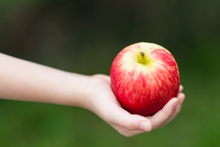 Hand Holding Red Appleの写真素材