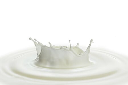 pouring of milk splash isolated white backgroundの写真素材