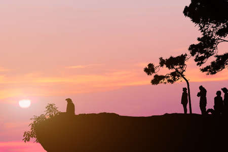 Silhouette group of people standing on mountain sunset backgroundの写真素材
