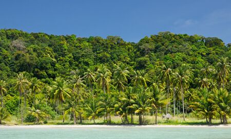 Deserted tropical beach with coconut palm trees and white sand under blue sky on Koh Chang island, Thailand.の写真素材