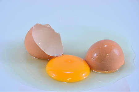 egg