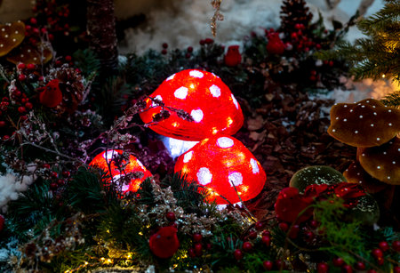 Fairytale spotted mushrooms in fairy tale wood. Red and white fly agaric.の写真素材