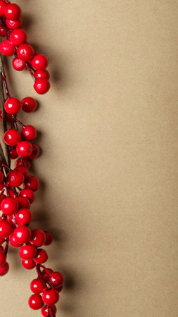 Christmas craft brown banner with place for text or copy space with branches of red berries or viburnum at left border. Verticalの写真素材