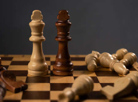 White and black chess kings standing among fallen figures. Draw on chessboard.の写真素材