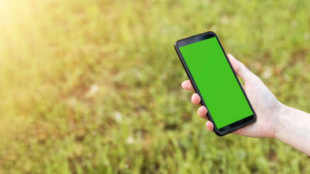 modern mobile phone mockup with blank emty screen in female hand over green grass or lawn. banner with copy space for text.の写真素材