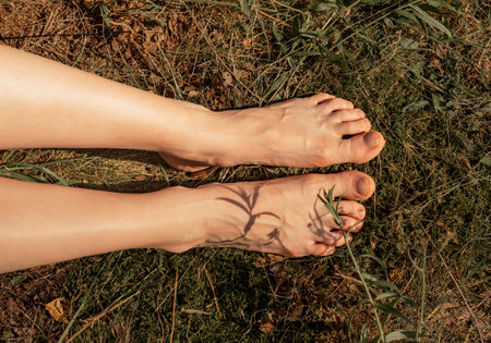 Female feet and legs in grass in sunny summer, top view.の写真素材