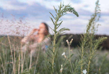 Defocused woman alone in summer field with green grass, sitting and enjoying in nature. Female in outdoor landscape.の写真素材