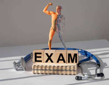 Medical exam concept. Inner organs examination and check upの写真素材