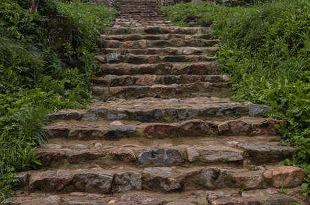 Old ancient stone stairs in nature. Steps among green grass, plants outdoors. Way and path up to...