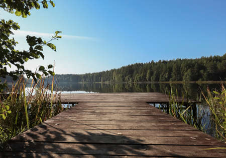 Landscape with wood long jetty in perspective, lake, woods on horizon and clear blue sky in summer.の写真素材