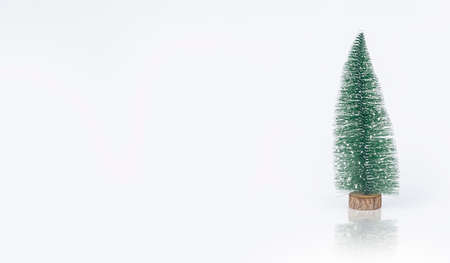Christmas fir tree. Xmas firtree on background with copy space. New Year bannerの写真素材
