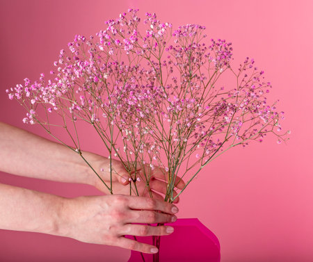 Hands putting dried flowers bouquet in vase. Valentines day concept. Woman hands with flowers on pink background. High quality photoの写真素材