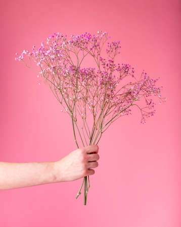 Hand holding dried flowers bouquet on pink background. Bunch of beautiful flowers for Valentines day, birthday, mothers day. High quality photoの写真素材