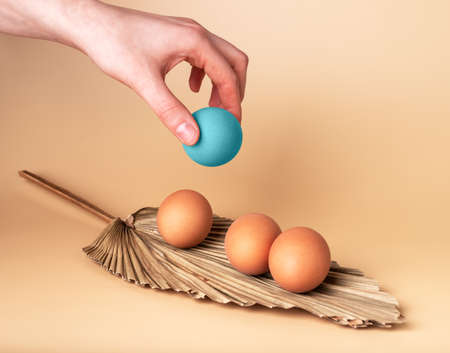 Hand putting outstanding Easter egg at leaf shaped dish with natural ones on beige background. Blue dyed symbol of religious holiday. Uniqueness and individuality concept. High quality photoの写真素材