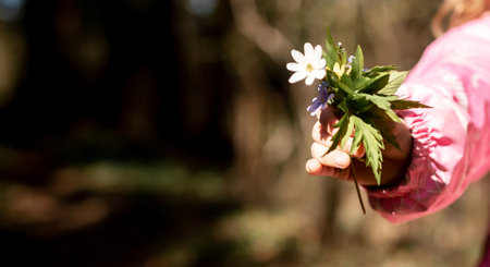 Banner with child hand holding spring flowers. Copy space. Harmony, tenderness concept. High quality photoの写真素材