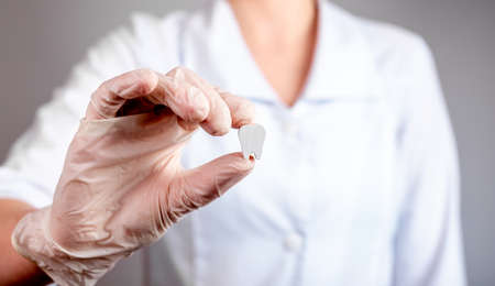 Dentist hand holding white healthy tooth. Implantation, oral hygiene, stomatology, caries and...