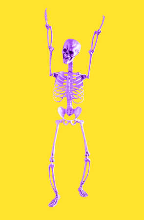 Violet human skeleton model with hands up on yellow background. Fun, relax, amusement, joy, Halloween day concept. High quality photoの写真素材