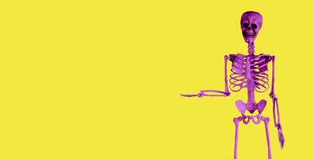Banner with purple human skeleton on yellow background. Halloween day, horror, anatomy concept. Copy space. High quality photoの写真素材