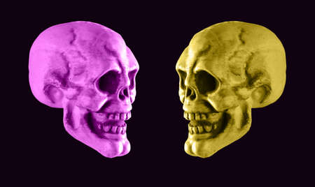 Violet and yellow skulls on black background. Halloween holiday or human duality concept. Good and evil in person. Opposites. High quality photoの写真素材
