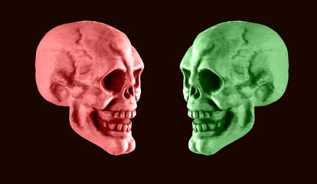 Pink and green skulls on black background. Halloween holiday or human duality concept. Contrast concept. Opposites. High quality photoの写真素材