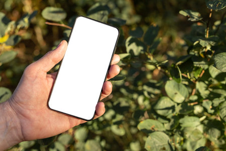 Hand holding phone mockup on green leaves background. Mobile app advertisement in eco style or place for ecology text. Smartphone template with white screen. high quality photoの写真素材