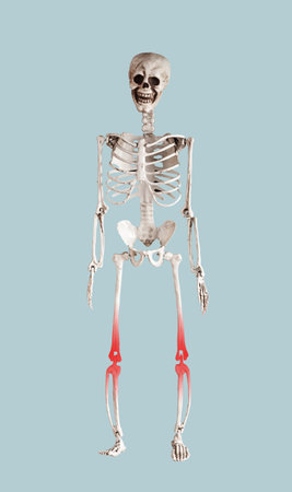 Skeleton with knee pain, bone disease on blue. high quality photo