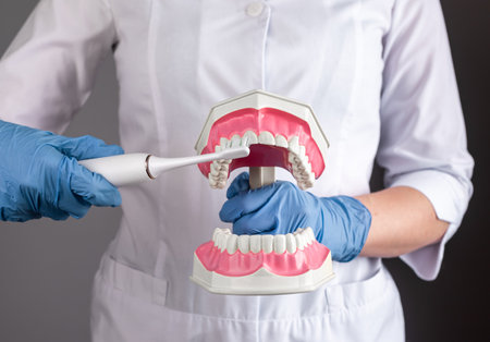 Dentist brushing teeth jaw model with electric toothbrush, closeup. Dental oral hygiene concept....